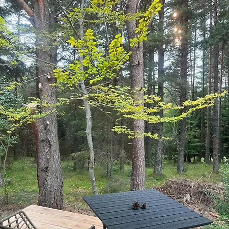 Chalet Zarevo Glamping Forest *