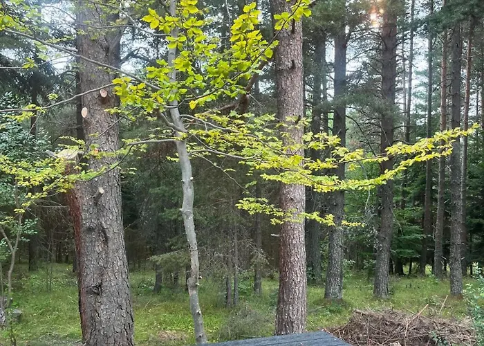 Domek alpejski Zarevo Glamping Forest *